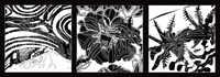Talva Design Acquatique