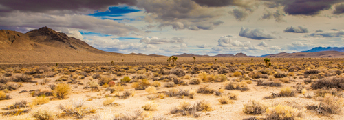 Tom Lichtenwalter Open Range