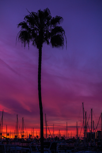 Tom Lichtenwalter Sunset Sailing 42661