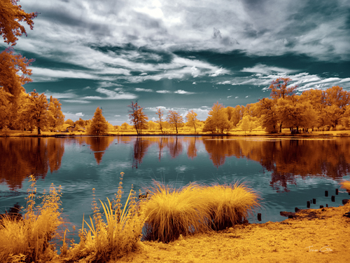 Tonee Gee Majolan S Park Reflections Ii Bordeaux