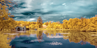Tonee Gee Majolan The Lake