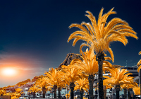 Tonee Gee Spain