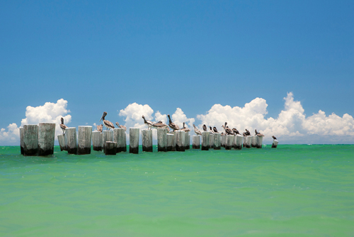 Verne Varona Gull Conference