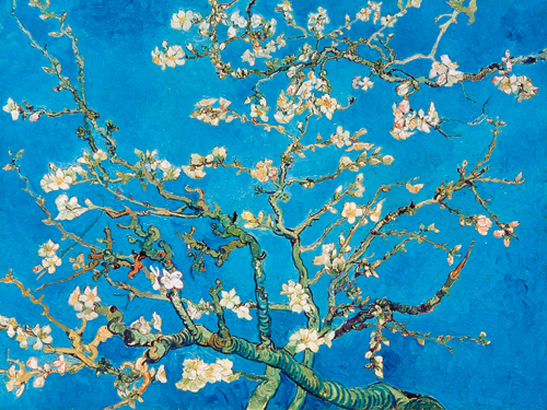 Vincent Van Gogh Almond Blossom San Remy 1890