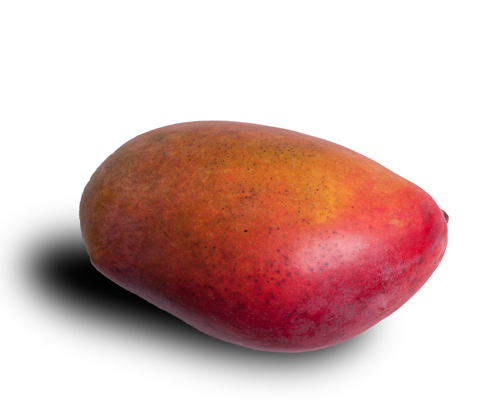 Volker Brosius Mango