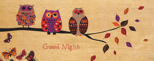 Wild Apple Portfolio Good Night Owl