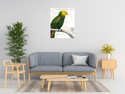 Wild Apple Portfolio Parrot Botanique I
