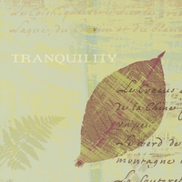Wild Apple Portfolio Tranquility